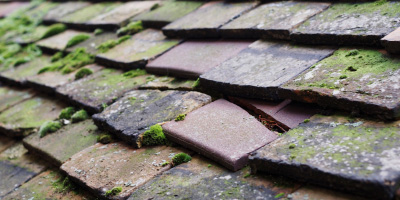 Steeple Morden roof repair costs